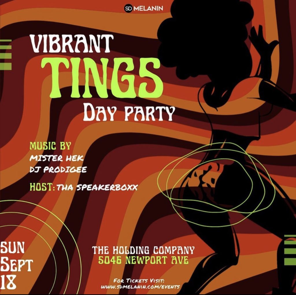 SD Melanin Presents Vibrant Tings Day Party Flyer
